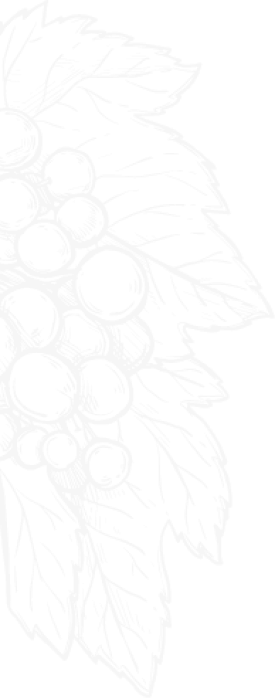 Outline of grapes and leaves design.